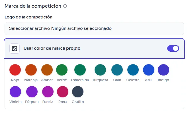 Competition branding section with logo upload and brand color palette